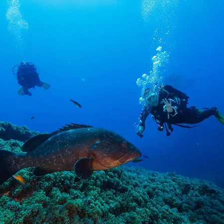 Espirito Azul - To Rent, 2 Minutes Walking From The Beach, Marina And Our Dive Center *