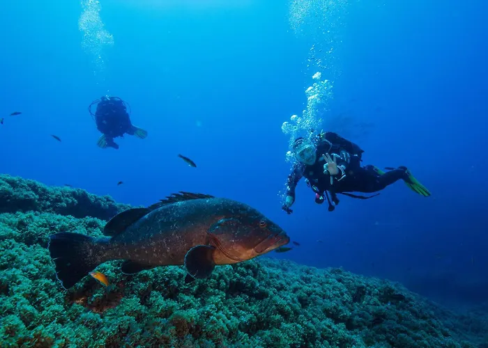 Espirito Azul - To Rent, 2 Minutes Walking From The Beach, Marina And Our Dive Center *